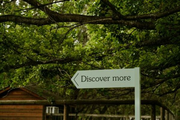 Bilde av veiskilt med teksten Discover more og pil