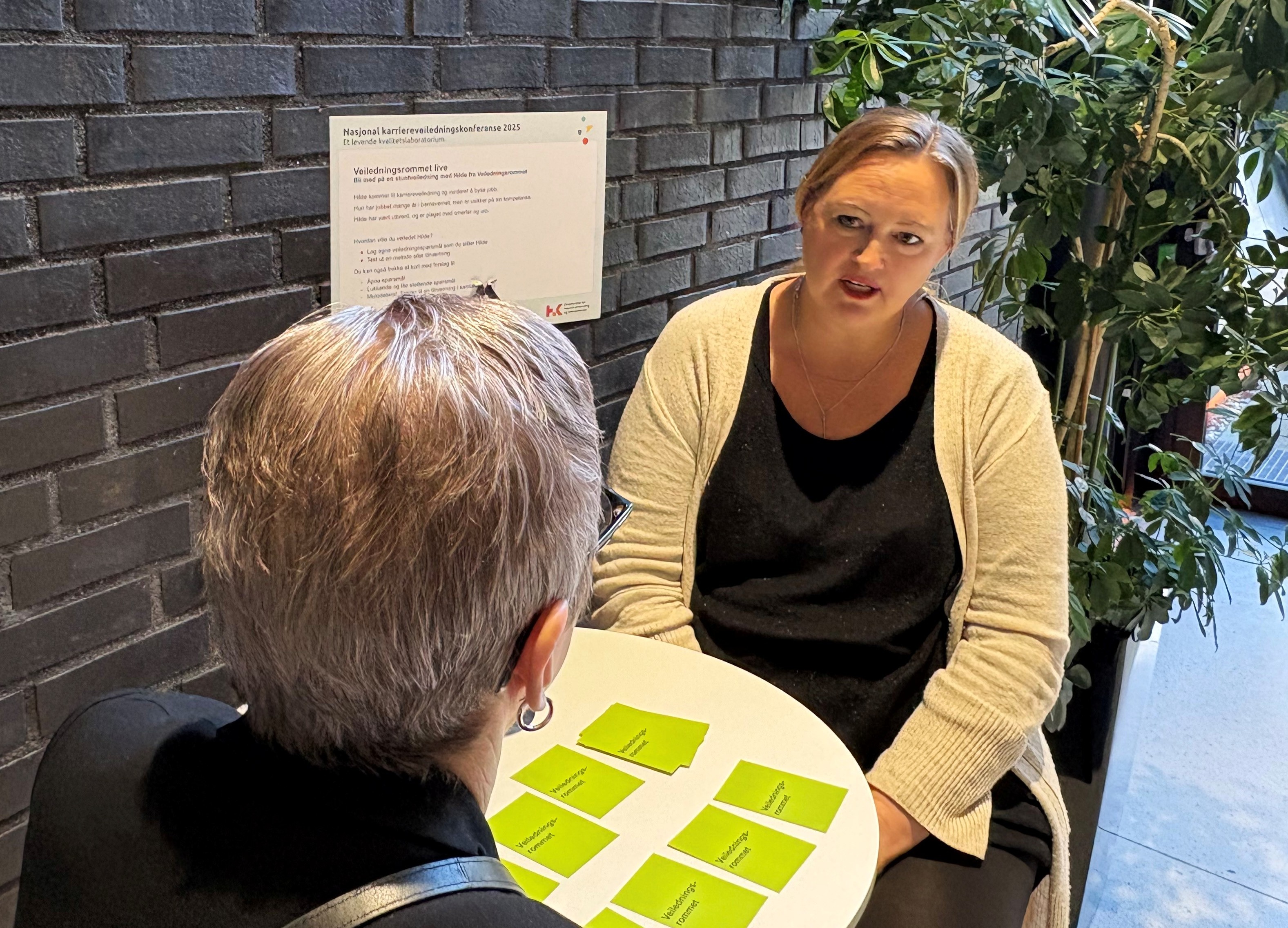 to personer som driver med veiledning 