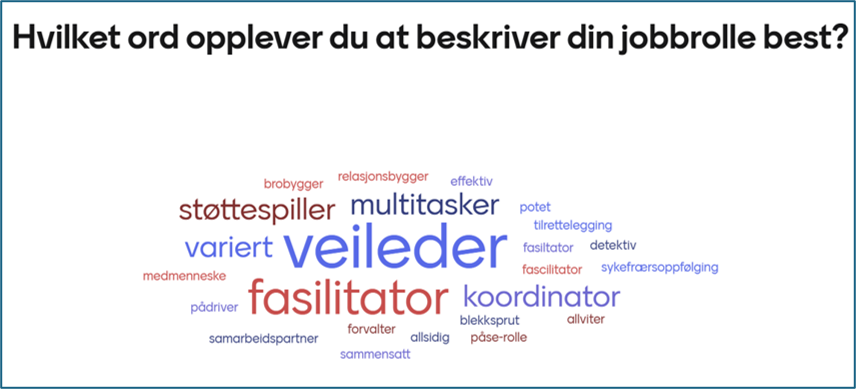 Bildet av ordskyen