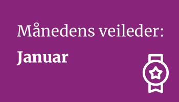 Månedens veileder januar