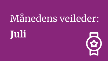 Månedens veileder juli