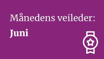 Månedens veileder juni