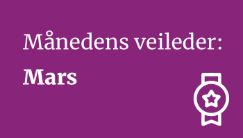 Månedens veileder mars