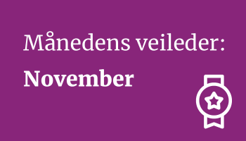 Månedens veileder desember