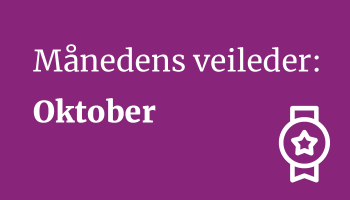 Månedens veileder oktober