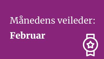Månedens veileder: Februar