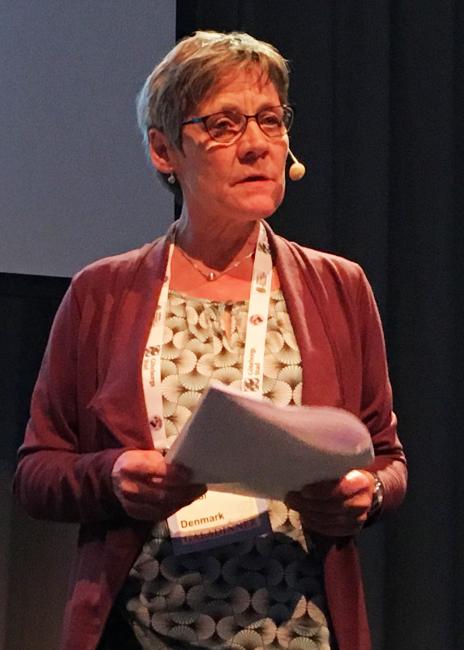 Lisbeth Højdal var en av foredragsholderne under den internasjonale karriereveiledningskonferansen i Gøteborg i oktober 2018. Lisbeth Højdal under den internasjonale karriereveiledningskonferansen 2018 i Gøteborg.