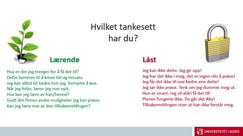 Låst og lærende tankesett