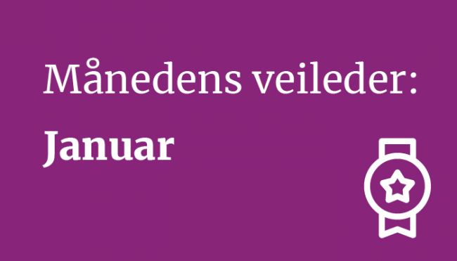 Månedens veileder januar