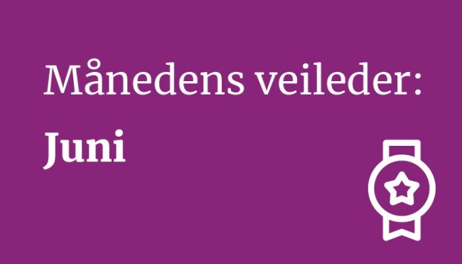 Månedens veileder juni