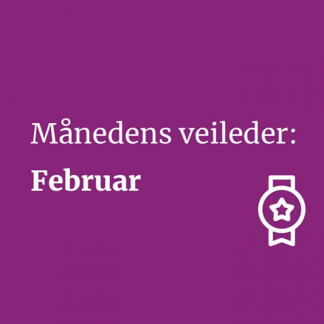 Månedens veileder: Februar