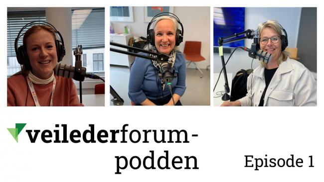 Veilederforum-podden med portrett av deltagere fra episode 1 