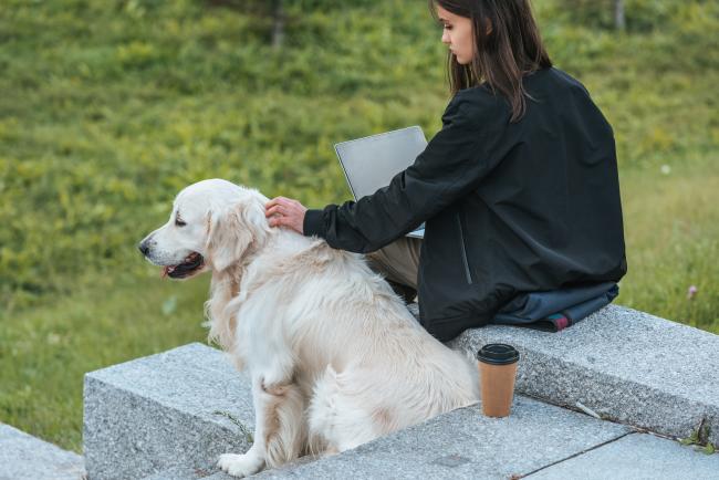 Bilde av kvinne som sitter ute og jobber på PC med en hund ved siden av seg.