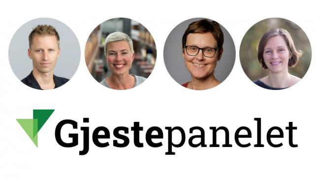 Bilde av de fire deltakerne i Gjestepanelet