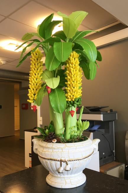 En blomst som en karriereveileder hos Tromsprodukt fikk av en fornøyd jobbsøker etter at han fikk jobb. En blomst som en karriereveileder hos Tromsprodukt fikk av en fornøyd jobbsøker etter at han fikk jobb.