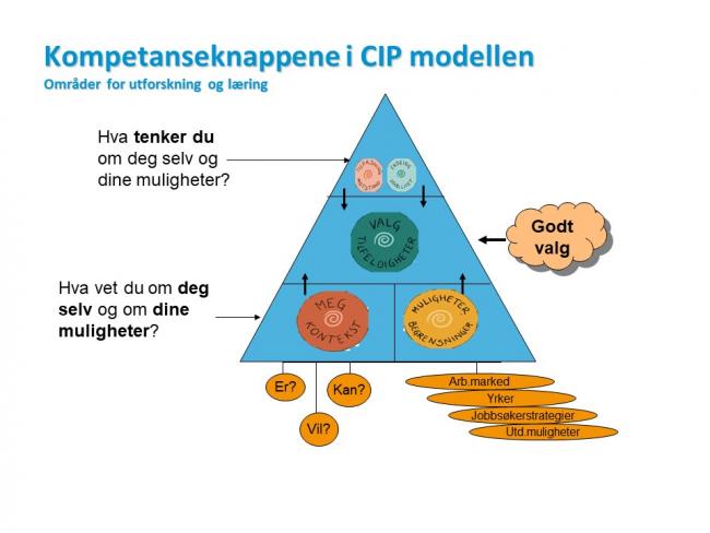 Illustrasjon: CIP og kompetanseknapper Illustrasjon: CIP og kompetanseknapper